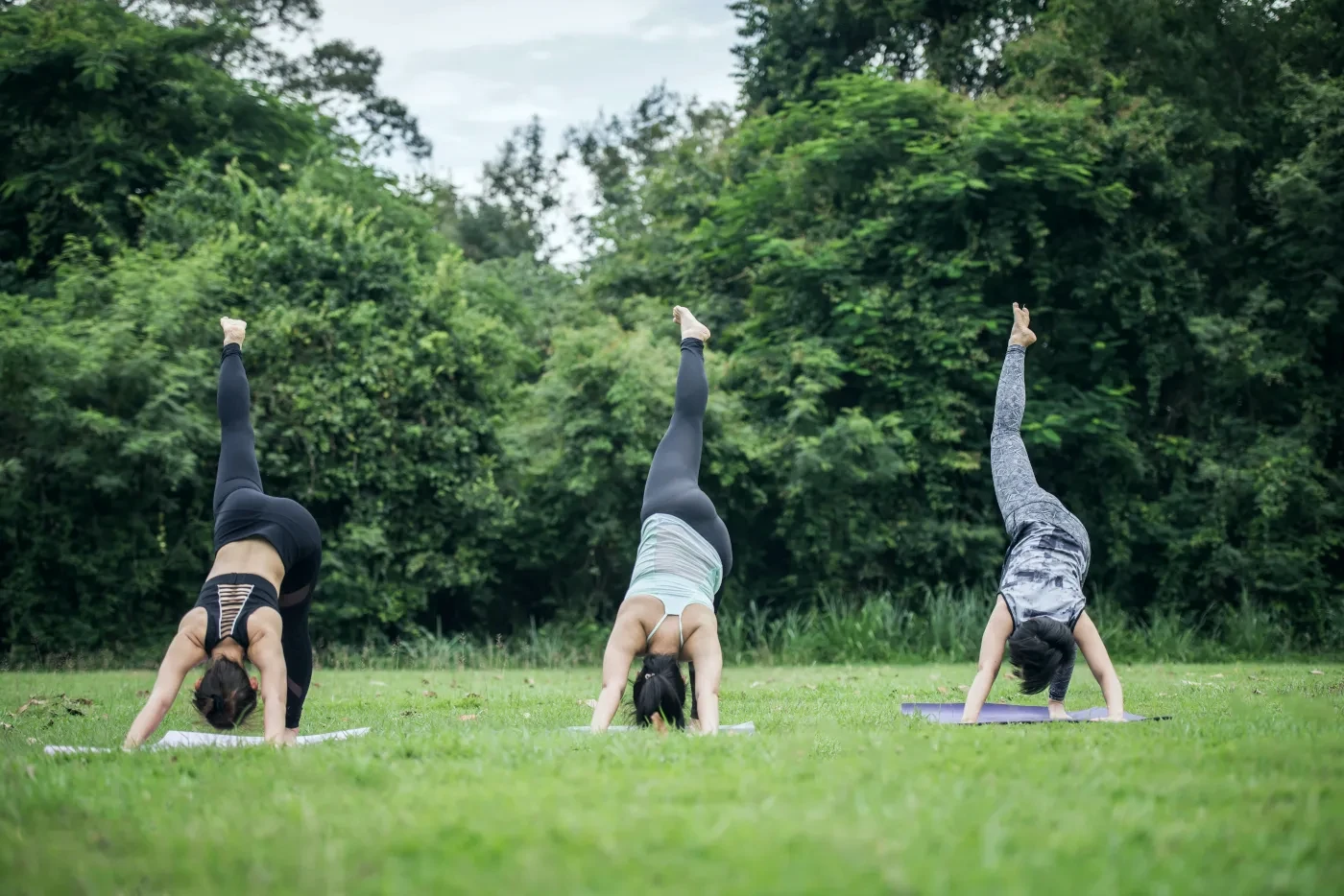 A group of people doing yoga in the nature
